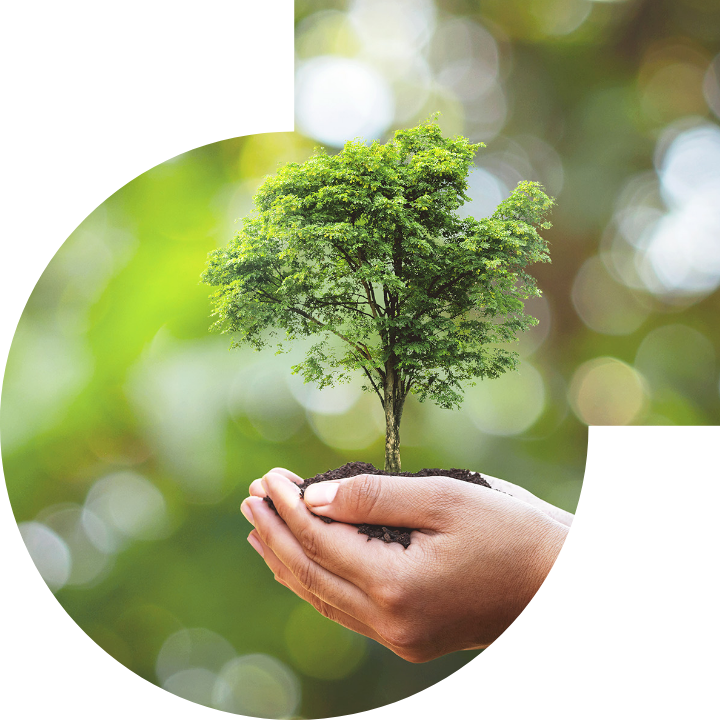 關懷人類、文化、環境與社會